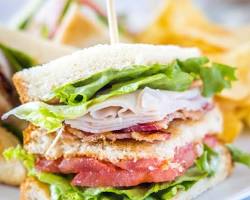 Turkey Club Sandwich